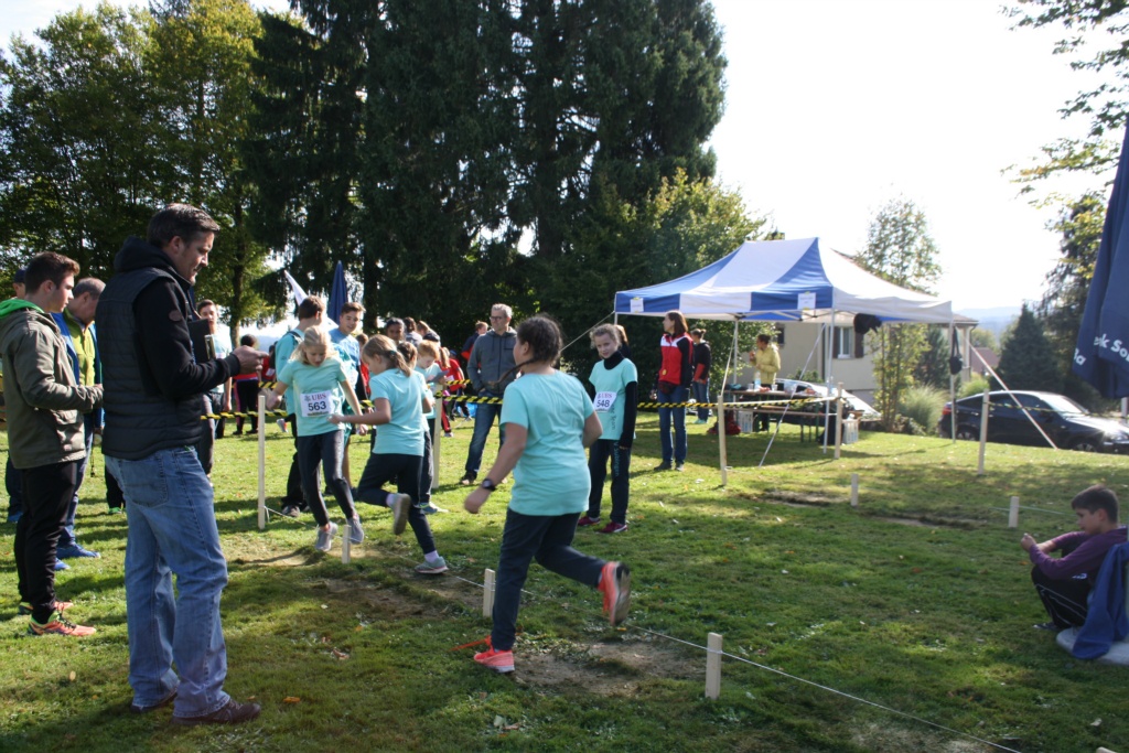 Bild 1 (73)